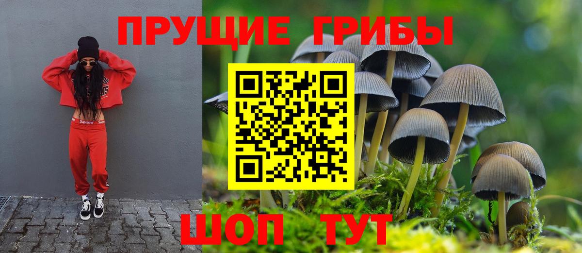 Элиста  Псилоцибиновые грибы мухоморы  Галлюциногенные грибы мухоморы  магазин    Вход с VPN 