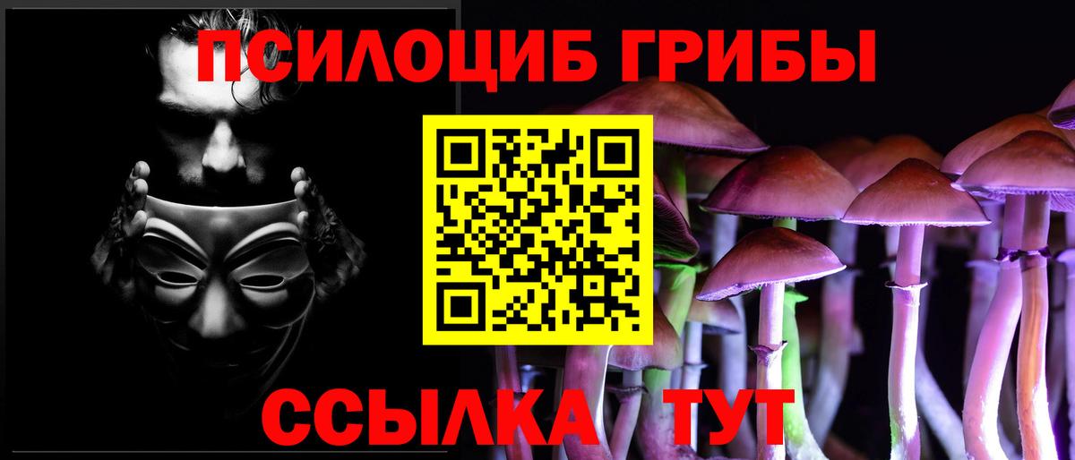 Псилоцибиновые грибы ЛСД Элиста